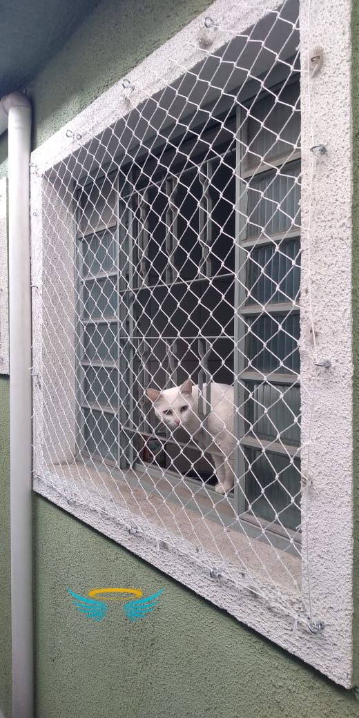 pet safety nets Installation in Koramangala Bangalore
