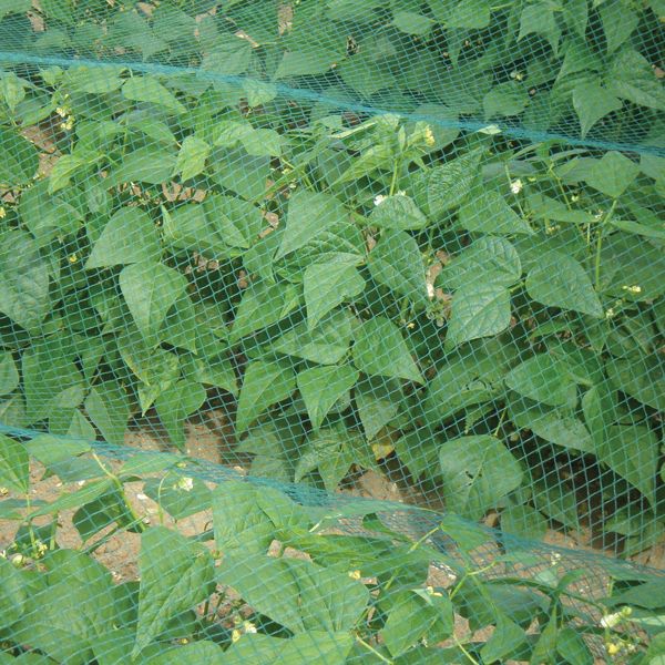 Garden Nets