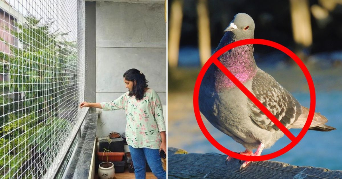 Bird Protection Nets