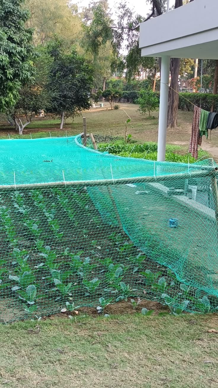 Garden Safety Net Installation in Whitefield Bangalore