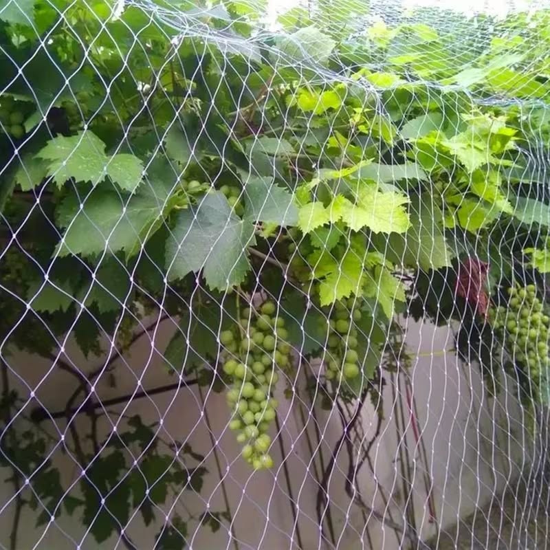 Garden Safety Net Installation in HSR Layout Bangalore