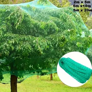 Garden Safety Net Installation in Koramangala Bangalore