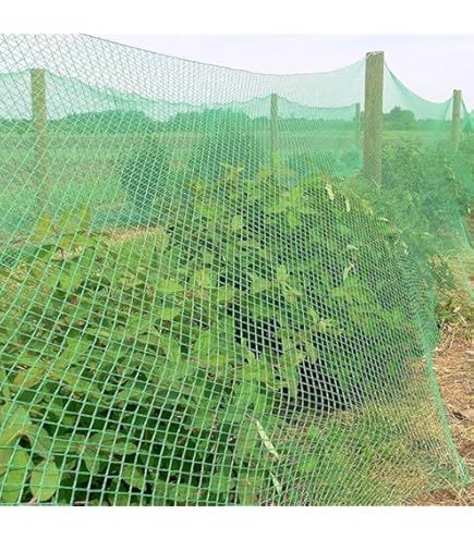 Garden Safety Net Installation in JP Nagar Bangalore