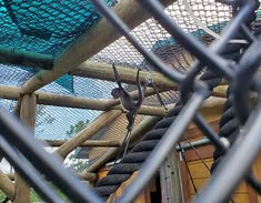 Monkey Safety Net Installation in Whitefield Bangalore