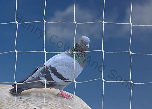 Pigeon Safety Nets Installation in JP Nagar Bangalore