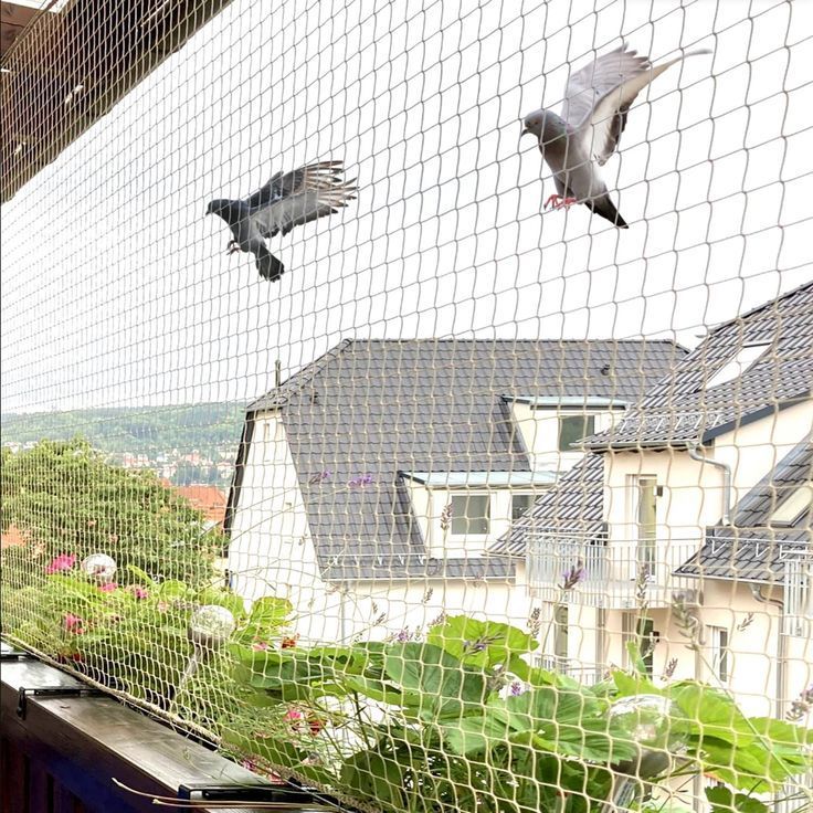 Pigeon Safety Nets Installation in Marathahalli Bangalore