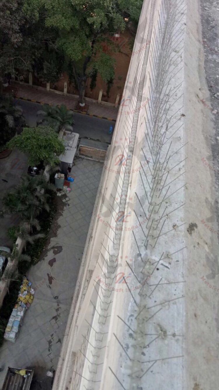 Commercial Bird Spikes Installation in Koramangala Bangalore
