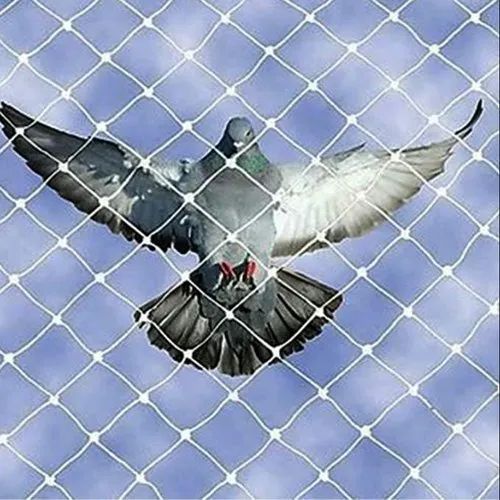Bird Protection Nets