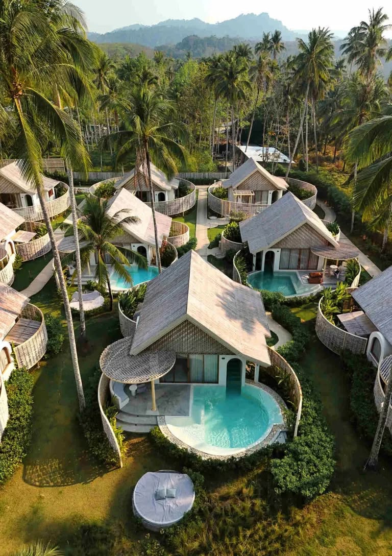 Coconut Tree Safety Nets for Resorts in Bangalore