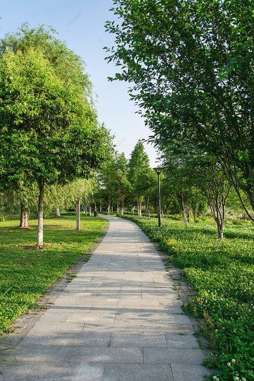 Garden Safety Nets for Parks and Resorts in Bangalore