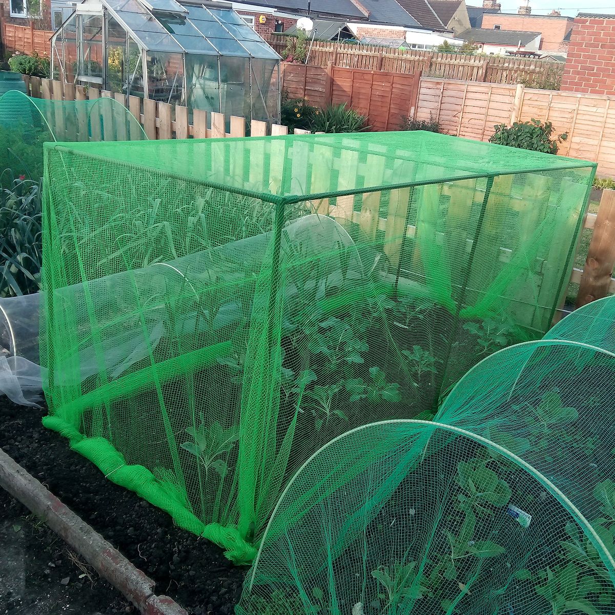 Garden Safety Net Installation in Bangalore